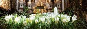 Blumen für die Hochzeit bei Blumen Glatz